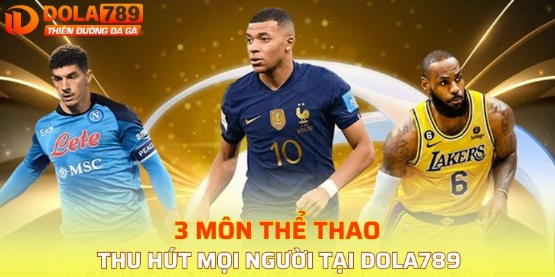 3 môn thể thao thu hút mọi người tại DOLA789