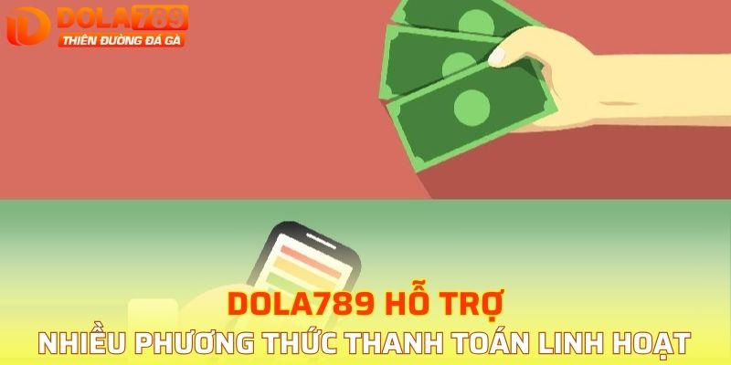 DOLA789 hỗ trợ nhiều phương thức thanh toán linh hoạt